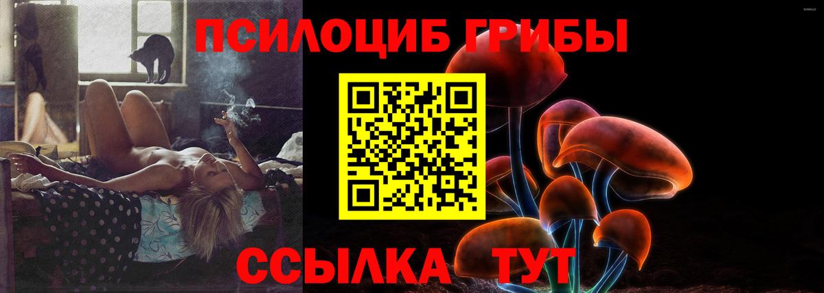Псилоцибиновые грибы мицелий Мирный